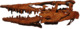 Tylosaurus bernardi IRSNB R23 Skull.png