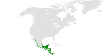 Tachycineta albilinea distribution map.png