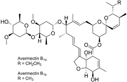 Avermectins.png
