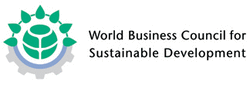 WBCSD logo 75 dpi for web.png