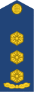 Estonia-AirForce-OF-5.svg