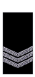 Wa-police-sergeant.png