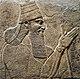 Tilglath pileser iii.jpg