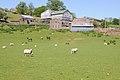 Llwyn-celyn Farmhouse, Llanvihangel Crucorney.jpg