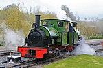Statfold Barn Railway - a pair of Brazils (geograph 4907531).jpg