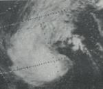 VeraNovember241973.gif
