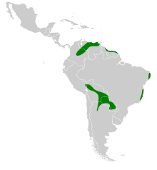 Neocrex erythrops map.svg