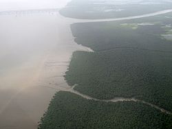 ThaneCreek - August 2016.jpg