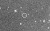 Skathi-discovery-CFHT.gif