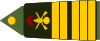 Army-FRA-OF-05-ROTATION-INFANTRY.svg