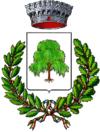 Coat of arms of Salassa