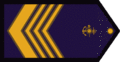 CP-ARA.png