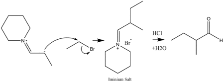 Alkylation of an enamine and a dehydration to form a ketone.