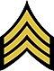 TAMU-15-Cadet-SGT.JPG