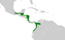 Lipaugus unirufus map.svg