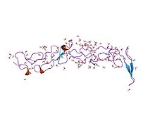 PDB 1klo EBI.jpg