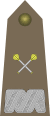 Army-POL-OF-10.svg