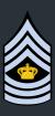 Denmark-AirForce-OR-9a.svg