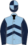 Light blue, dark blue chevrons and sleeves, dark blue and light blue quartered cap