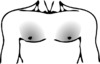 4 - Pectoral.png