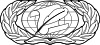 United States Air Force Information Management Badge.svg