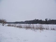 Gatineau - Parc du Lac-Beauchamp.jpg