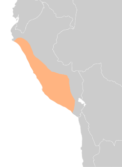 Expansion and area of influence of the Wari Empire around 800 AD