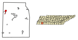 Location of Whiteville in Hardeman County, Tennessee