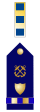 USCG CW2 insignia.svg