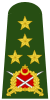 Turkey-army-OF-9a.svg
