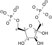Beta-D-fructose-1,6-bisphosphate wpmp.png