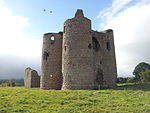 02. Ballyloughan Castle, Co. Carlow.jpg