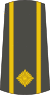 12-Serbian Army-MAJ.svg