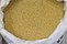Hulled foxtail millet.jpg