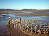 Fence, Sandside - geograph.org.uk - 2265470.jpg
