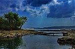 Cibuaya estuary - panoramio.jpg
