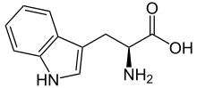 Structure of .mw-parser-output span.smallcaps{font-variant:small-caps}.mw-parser-output span.smallcaps-smaller{font-size:85%}l-isomer