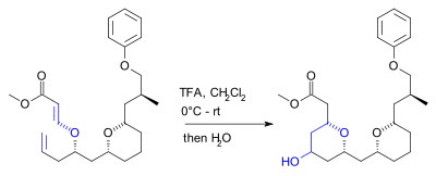 Prins reaction Kwon 2008