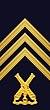 OR-5 Sergeant AMF hylsa.jpg