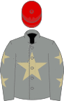 Grey, beige star, grey sleeves, beige stars, red cap