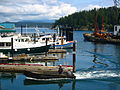 Friday Harbor.jpg
