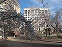 The square on ice (361789916).jpg