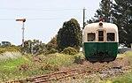 Tasmanian-dp29-bpr-victoria.jpg