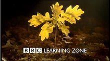 Ident used from 1997 until the early 2000s.