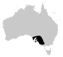 Neobatrachus pictus distrib.png