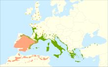 Quercus ilex range.svg