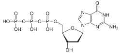 Skeletal formula of deoxyguanosine triphosphate