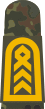 MA OG5 35 Oberstabsbootsmann.svg