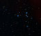 IC 2391 in Vele.jpg