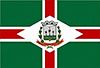 Flag of Murutinga do Sul